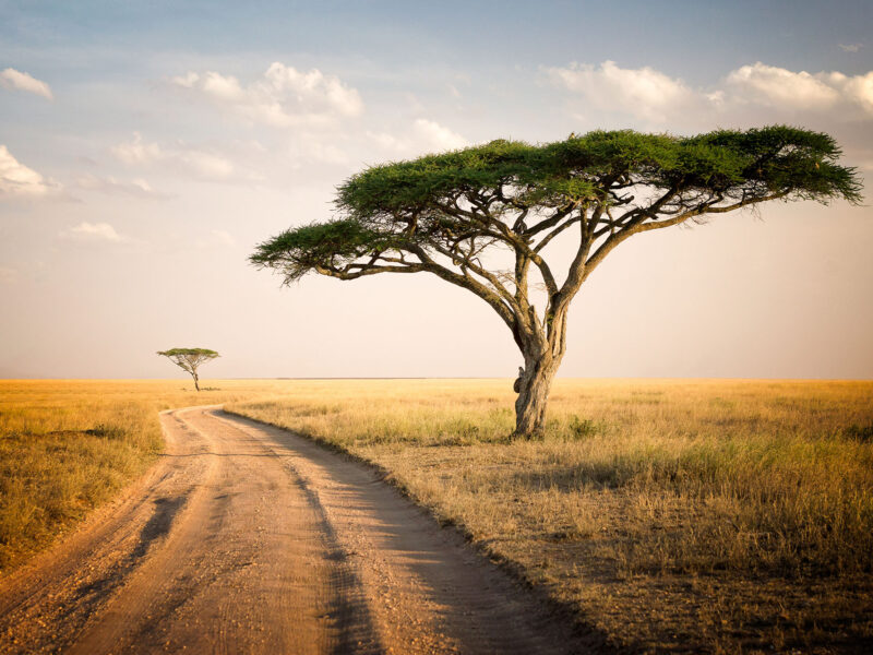 Mining in Tanzania: How Local Partnerships & Faster Supply Solutions Reduce Downtime