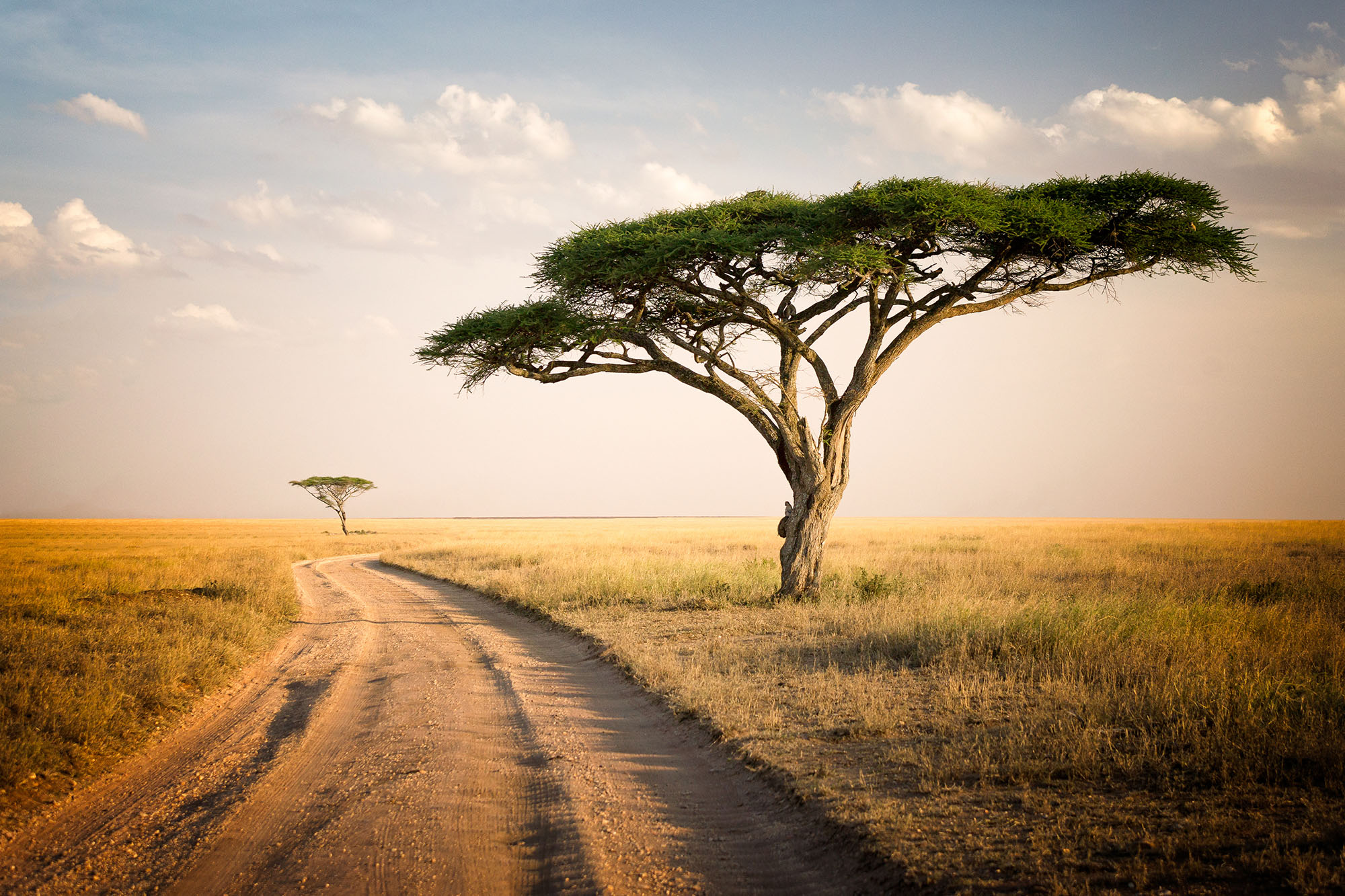 Mining in Tanzania: How Local Partnerships & Faster Supply Solutions Reduce Downtime